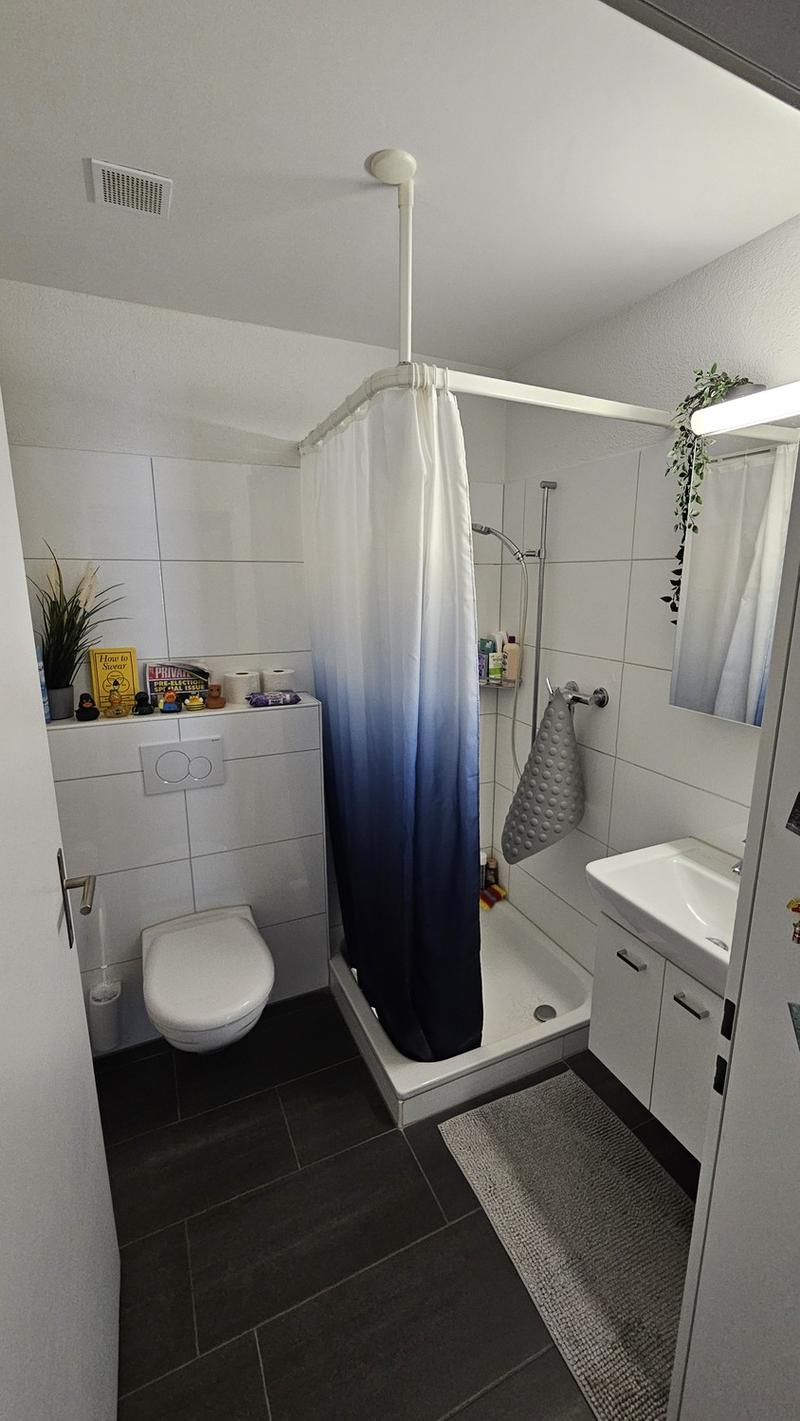 Bright 3.5 room attic apartment for rent from September 1, 2026 (9)