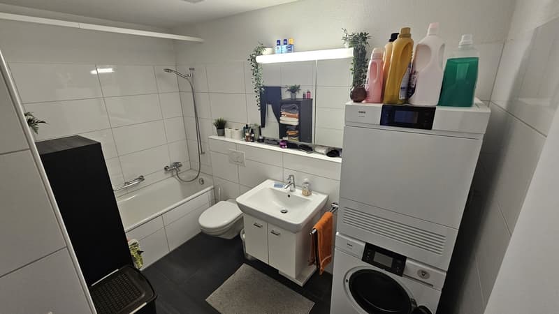 Bright 3.5 room attic apartment for rent from September 1, 2026 (8)