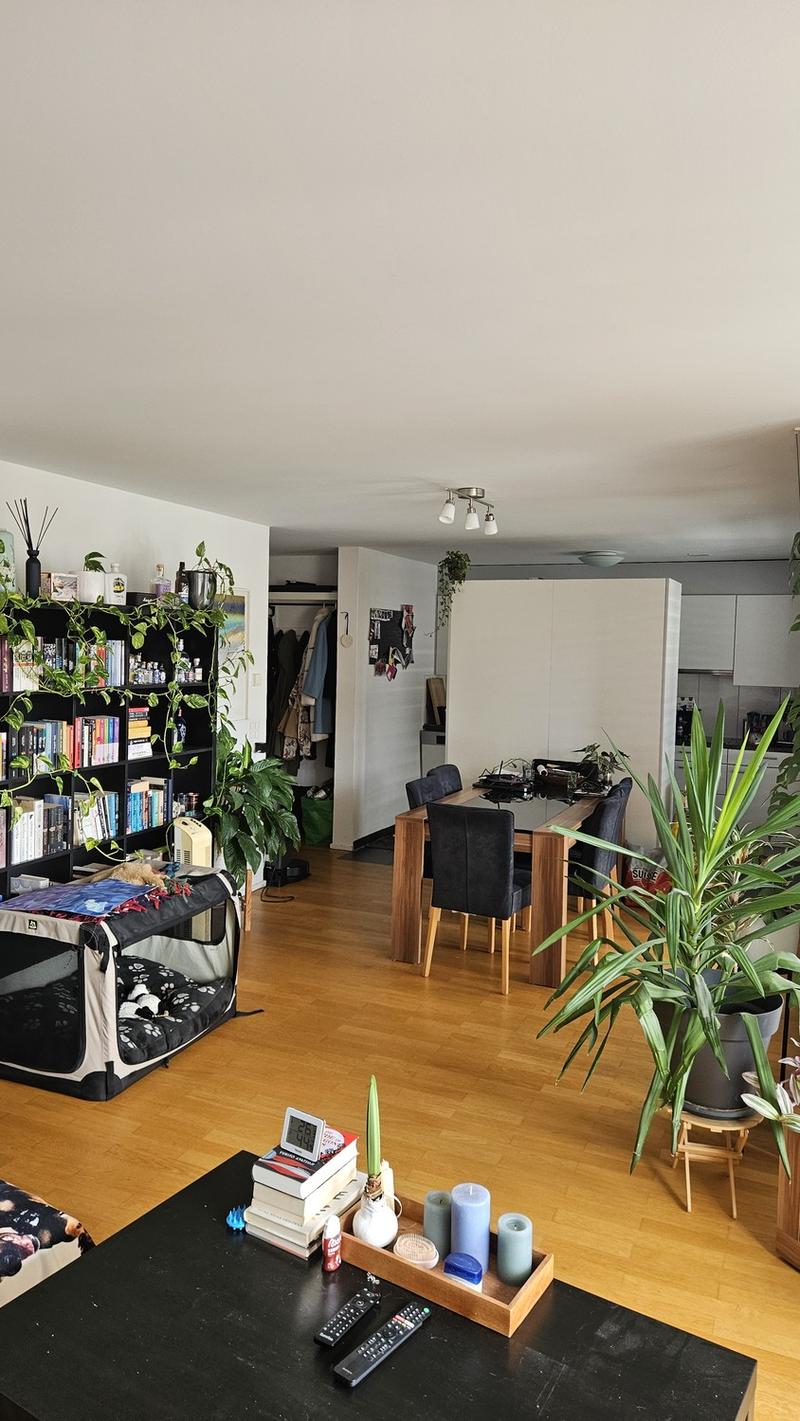 Bright 3.5 room attic apartment for rent from September 1, 2026 (11)