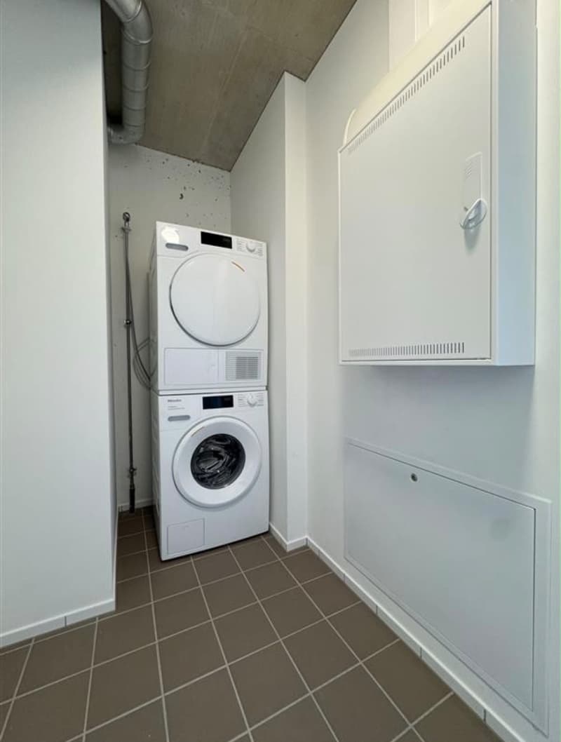 Modern apartment for rent (7)