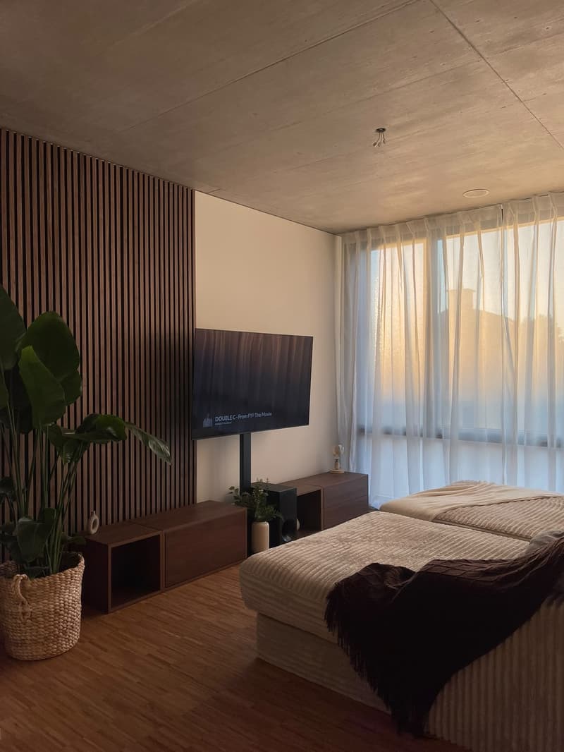 Modern apartment for rent (5)
