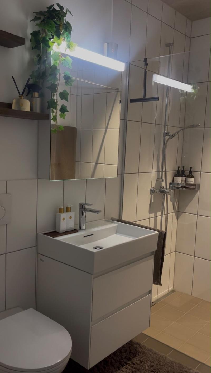 Modern apartment for rent (9)