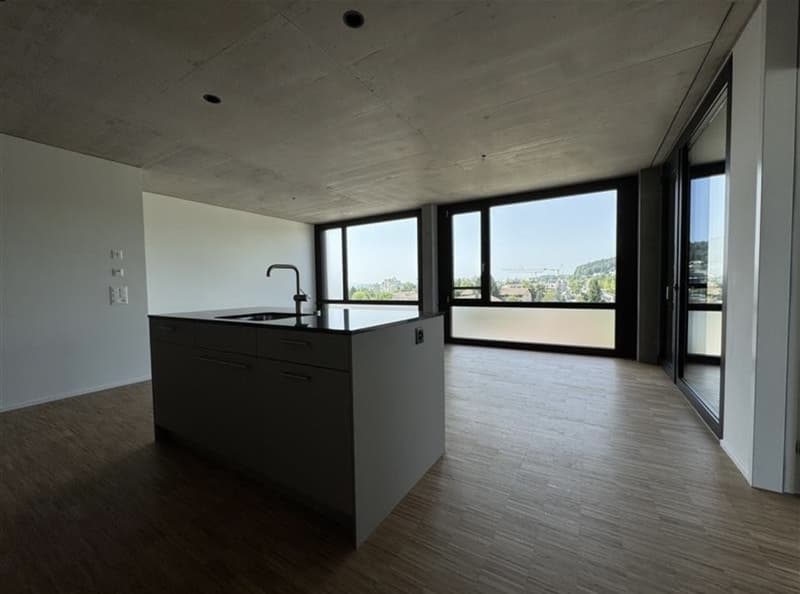 Modern apartment for rent (3)