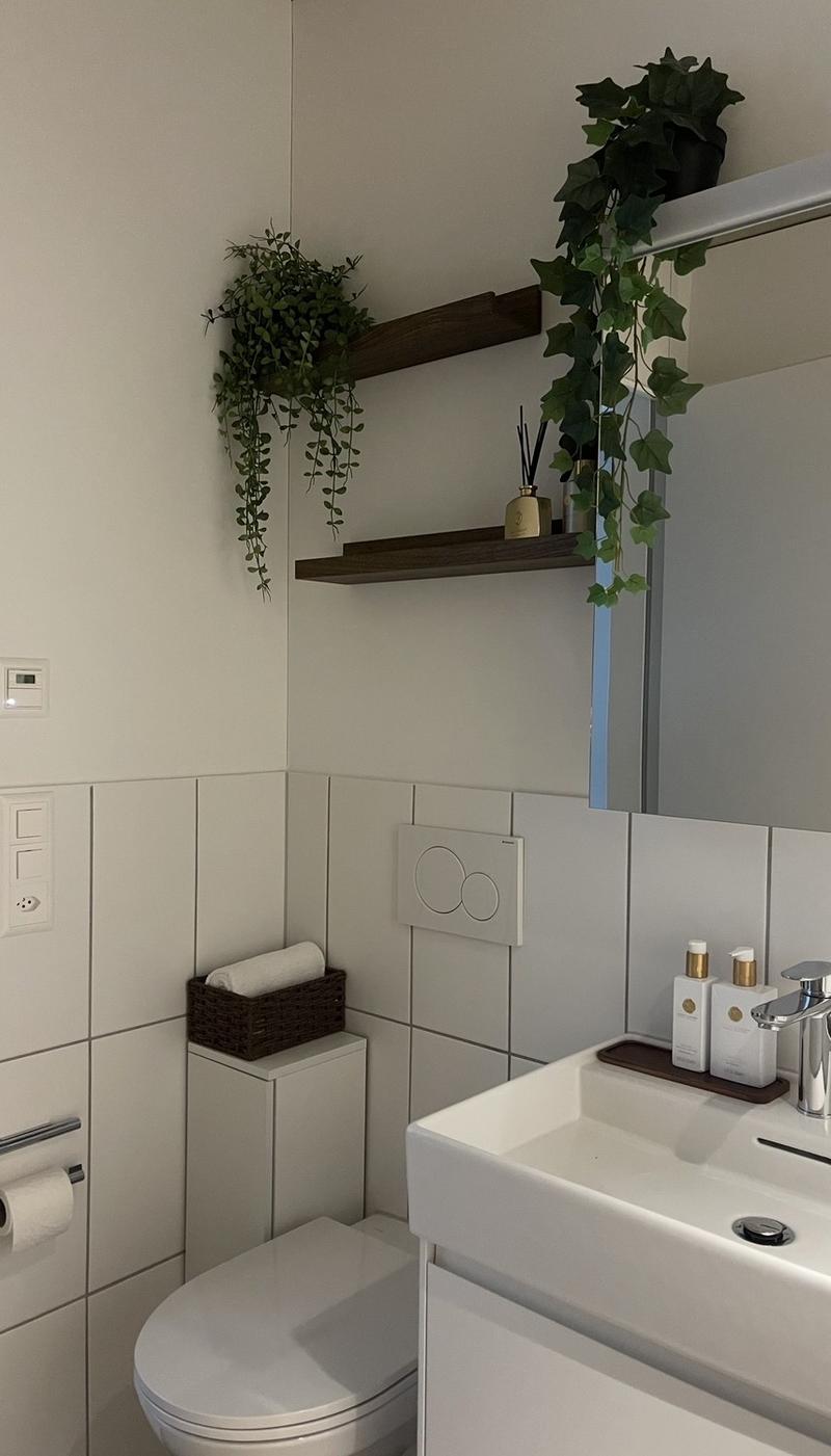 Modern apartment for rent (10)
