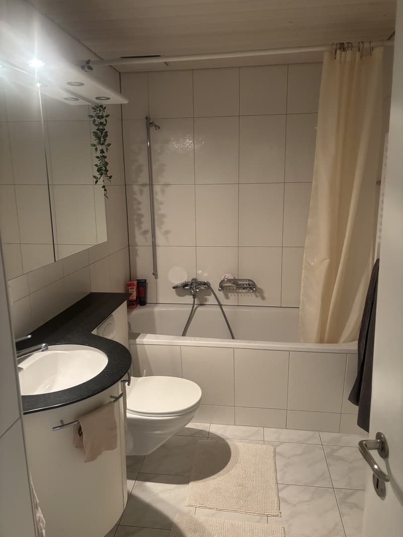 Nachmieter/in per 15. September gesucht (4)