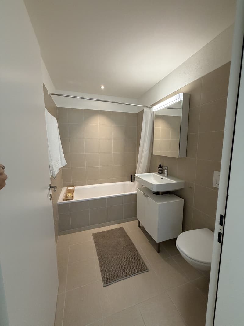 Modern 3.5-room apartment (6)