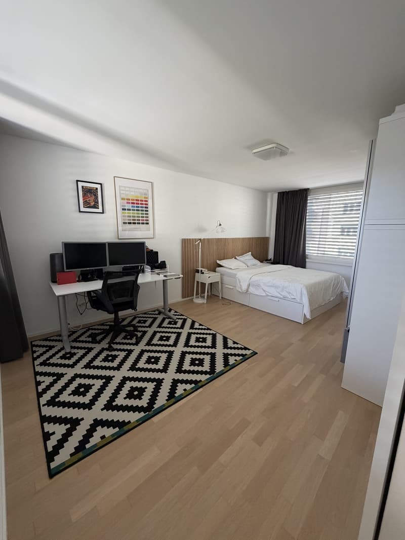 Modern 3.5-room apartment (7)