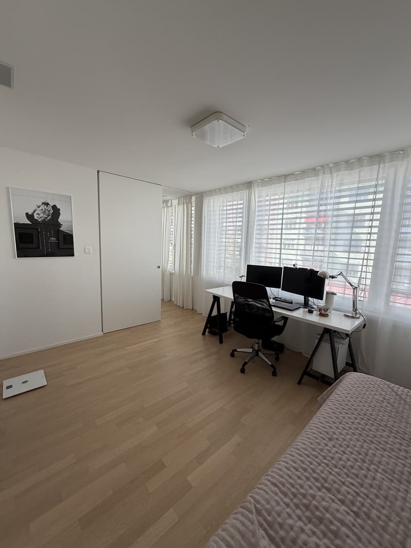 Modern 3.5-room apartment (2)