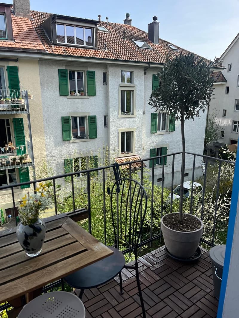Appartamento 2.5 locali a Murifeld (3)