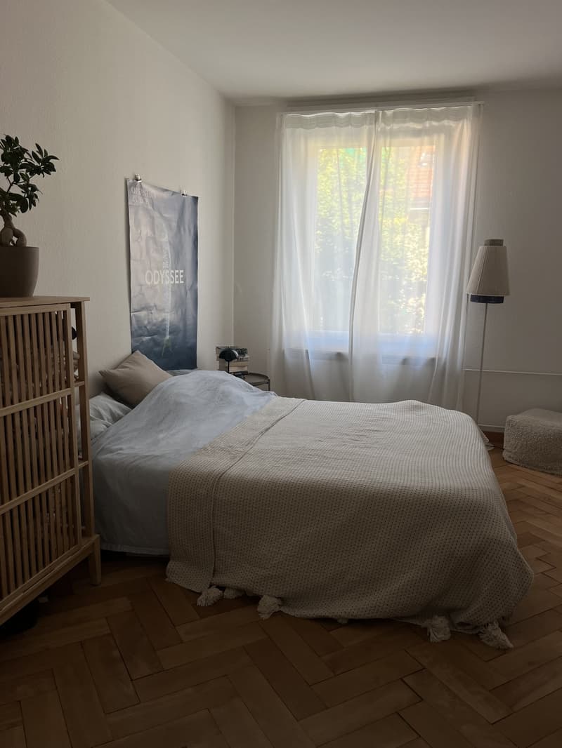 Appartamento 2.5 locali a Murifeld (5)