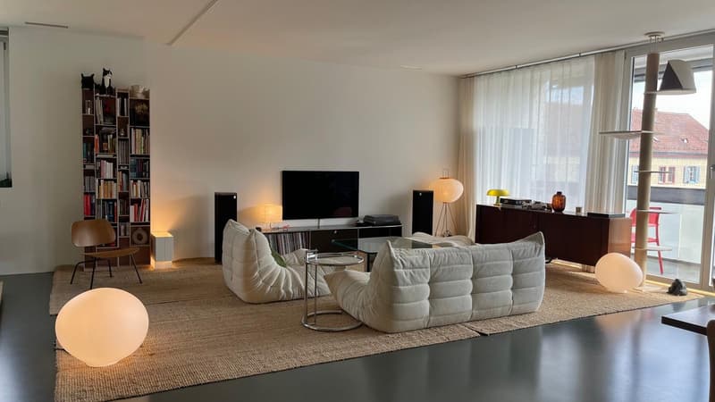 Attractive 95 m² loft apartment at Lochergut (Erismannstrasse) with professional air conditioning (1)