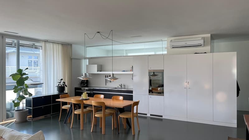 Attractive 95 m² loft apartment at Lochergut (Erismannstrasse) with professional air conditioning (2)