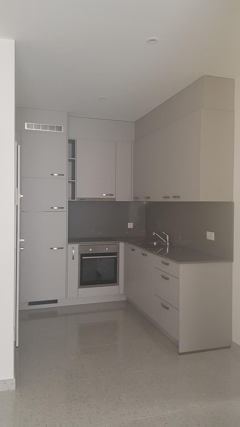 Appartamento 2 1/2 locali arredato a Ruvigliana (3)