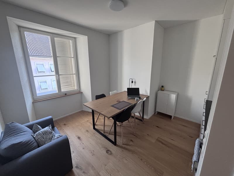 Modern, fully furnished studio in Stein AG - Seeking subtenant (from October 1, 2026) (1)