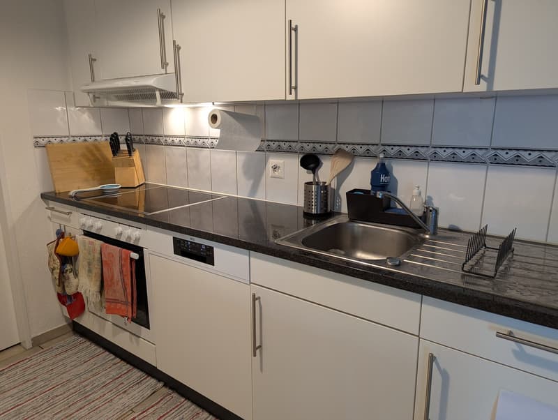 Bright 3.5-Room Apartment with Beautiful Winter Garden in Zürich Seebach (8)