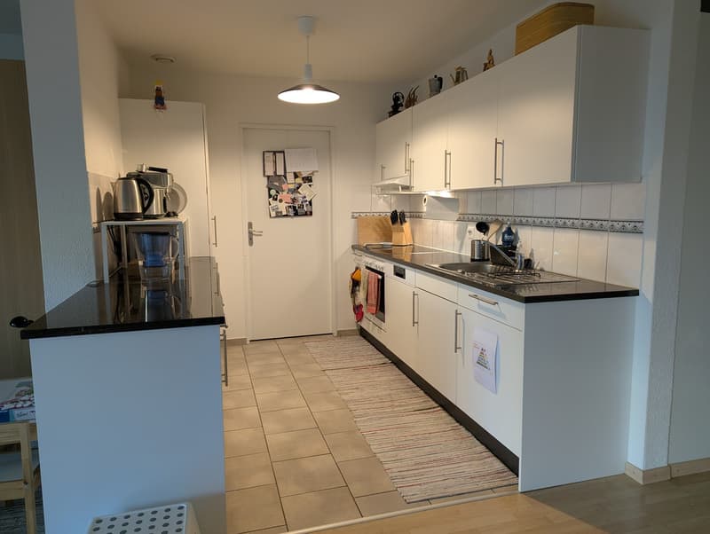 Bright 3.5-Room Apartment with Beautiful Winter Garden in Zürich Seebach (3)