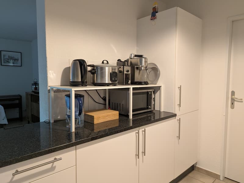 Bright 3.5-Room Apartment with Beautiful Winter Garden in Zürich Seebach (6)