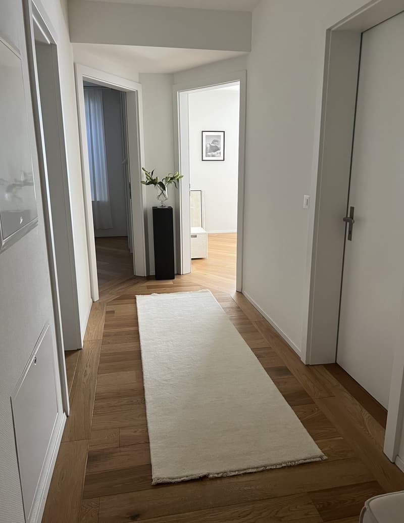 Appartamento di 4 locali in vecchio edificio ristrutturato con due balconi al Klusplatz (4)