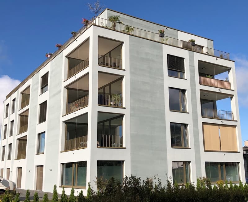 Modern attic apartment with 60m2 terrace and beautiful mountain view (6)