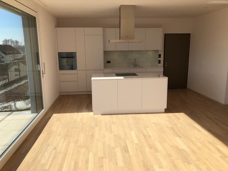 Modern attic apartment with 60m2 terrace and beautiful mountain view (1)