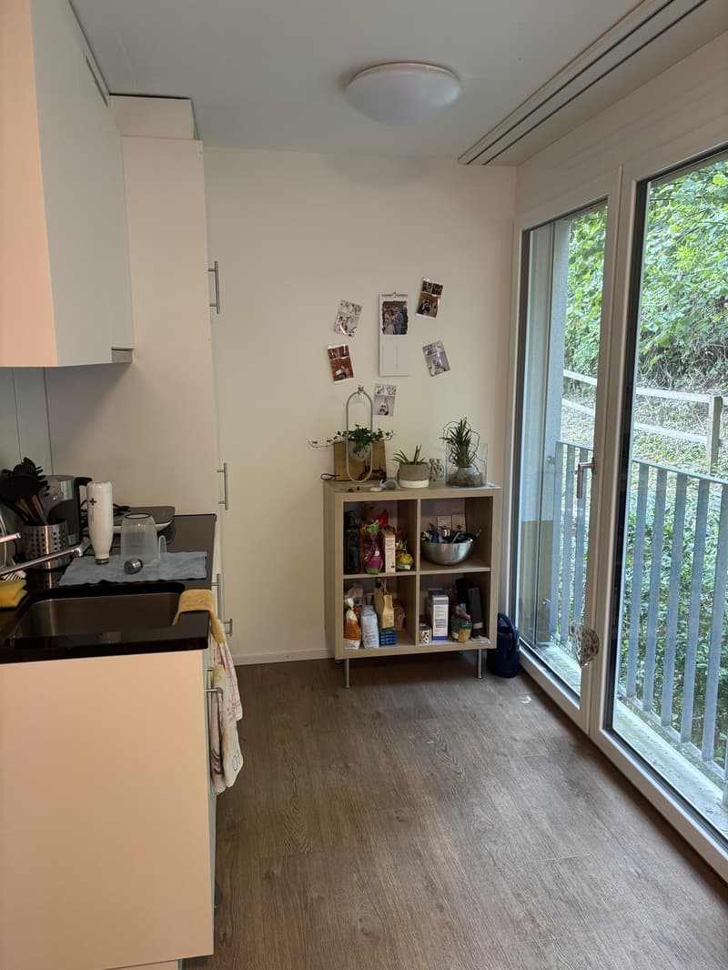 1 Zimmer-Wohnung, 8406 Winterthur (2)