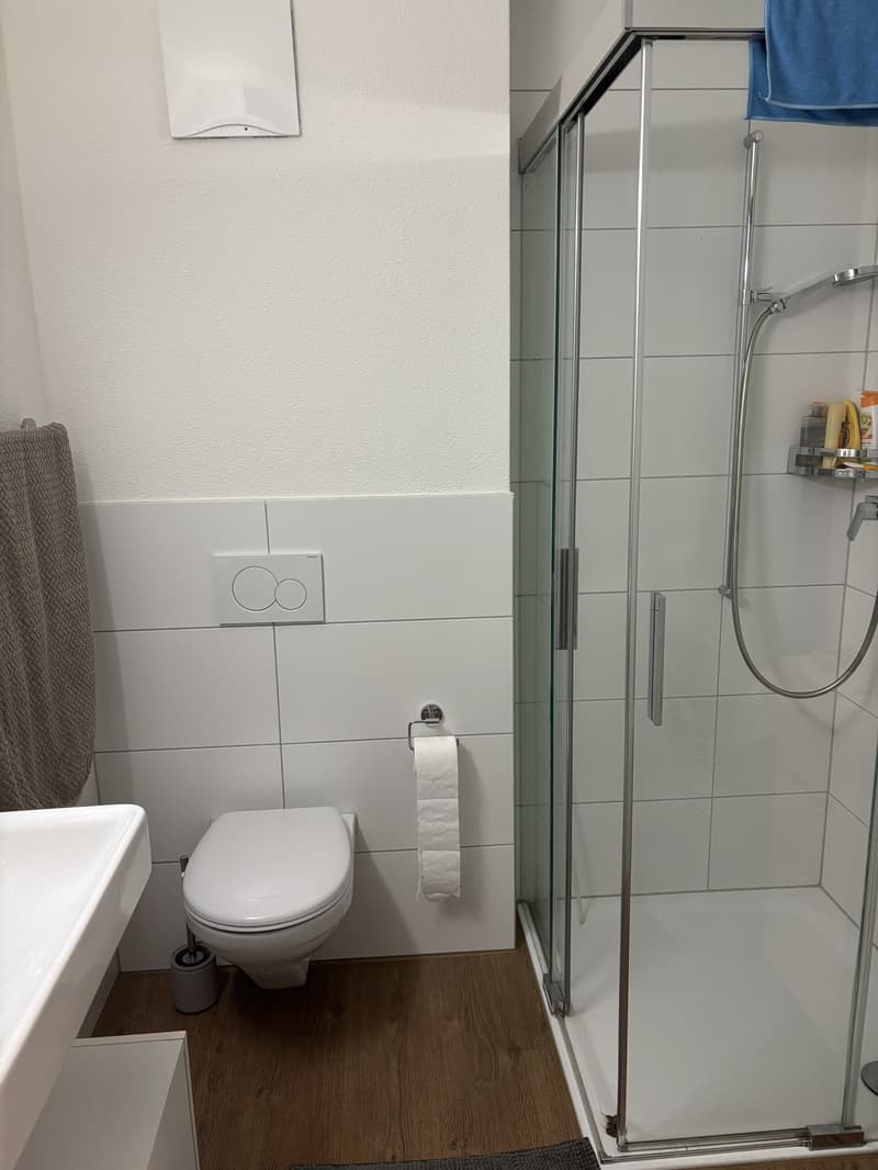 1 Zimmer-Wohnung, 8406 Winterthur (1)