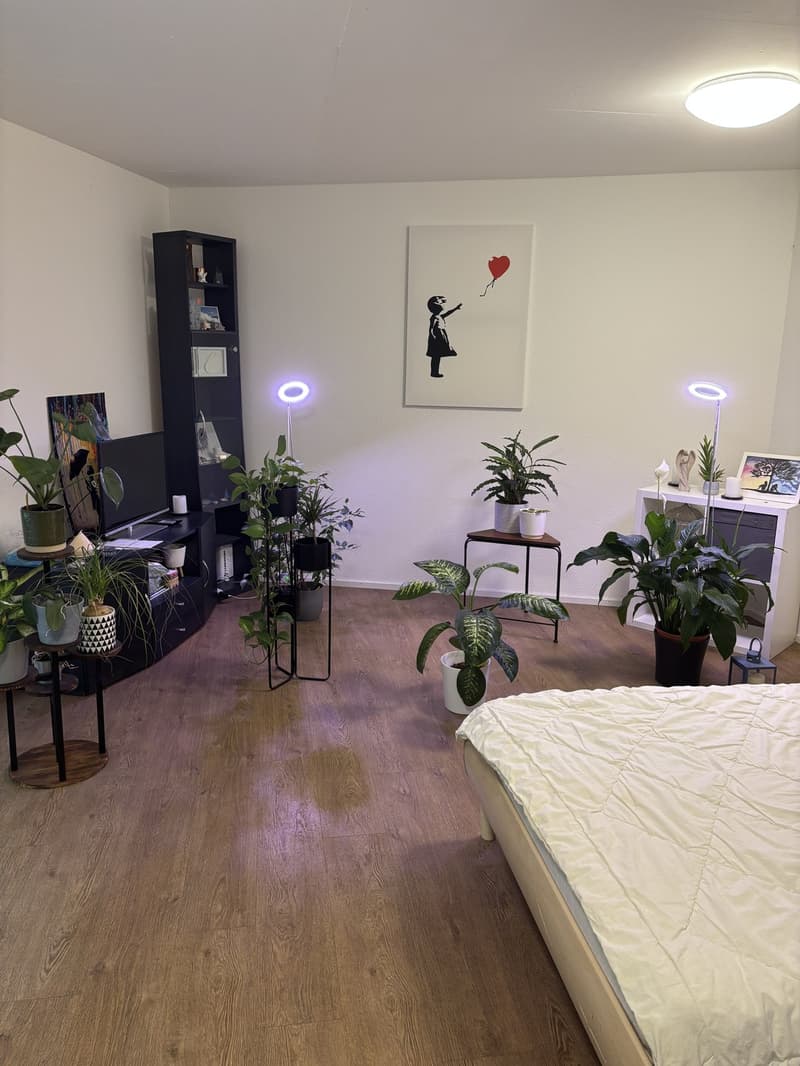 1 Zimmer-Wohnung, 8406 Winterthur (3)
