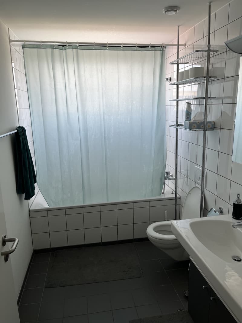 Due camere libere in un ampio appartamento 4 locali a Oerlikon (5)