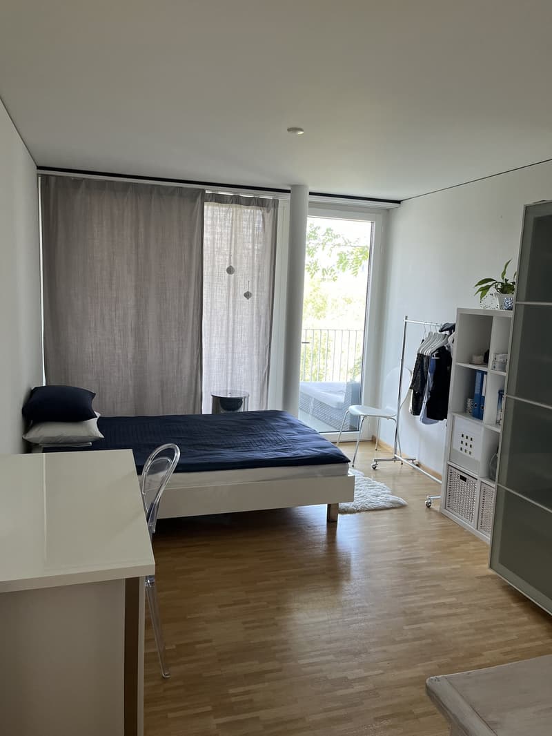 Due camere libere in un ampio appartamento 4 locali a Oerlikon (3)