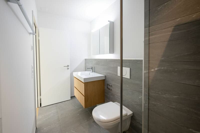 Moderne und naturverbundene 3.5-Zimmerwohnung (8)