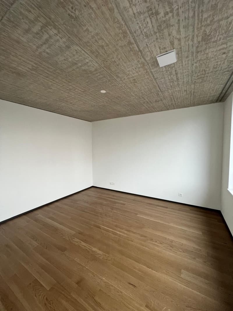 4.5 Zimmer Wohnung in der Lokstadt Winterthur (6)