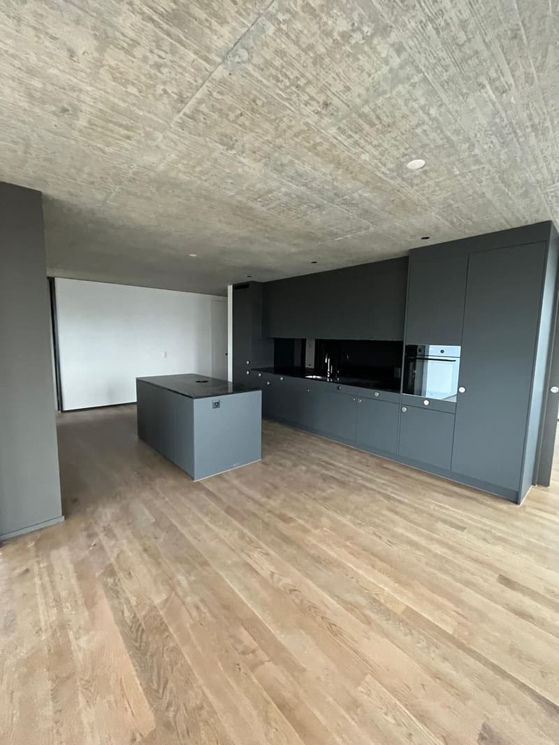 4.5 Zimmer Wohnung in der Lokstadt Winterthur (9)