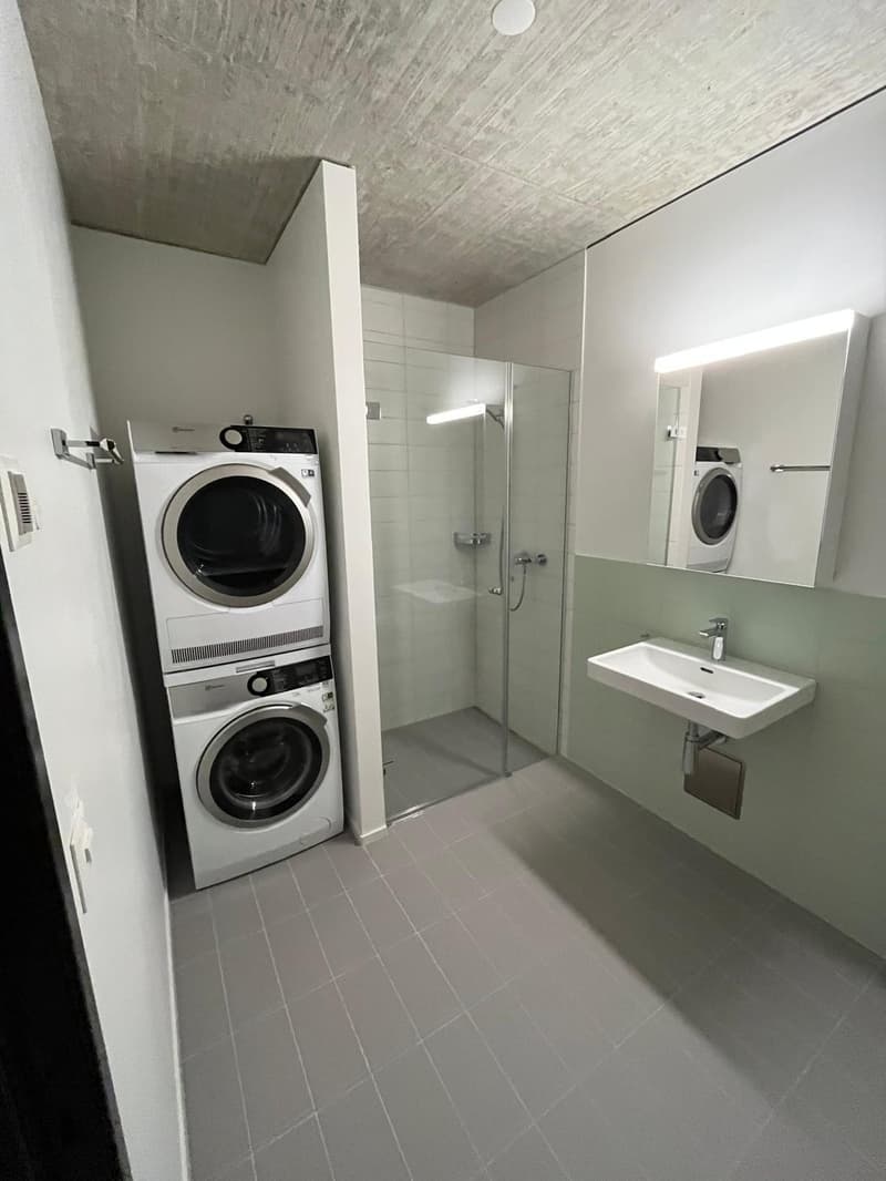 4.5 Zimmer Wohnung in der Lokstadt Winterthur (8)