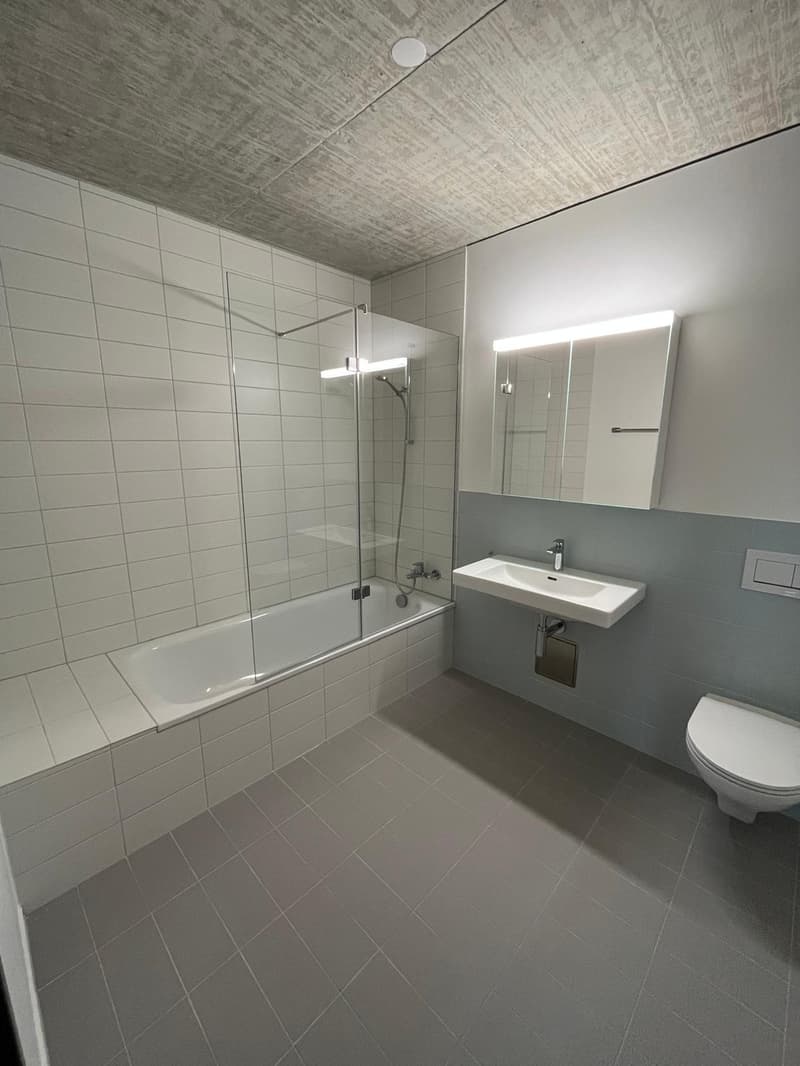 4.5 Zimmer Wohnung in der Lokstadt Winterthur (4)