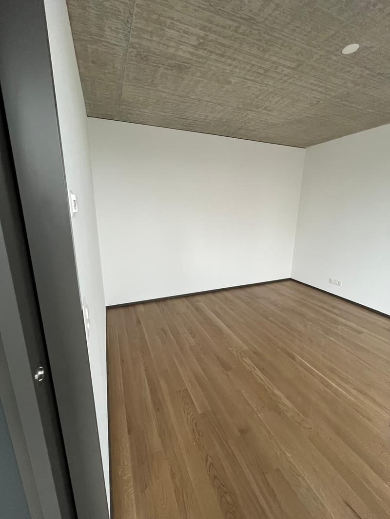4.5 Zimmer Wohnung in der Lokstadt Winterthur (10)