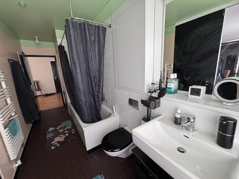 Appartement temporaire lumineux & spacieux meublé 2.5 pièces Altstetten / Albisrieden (11)