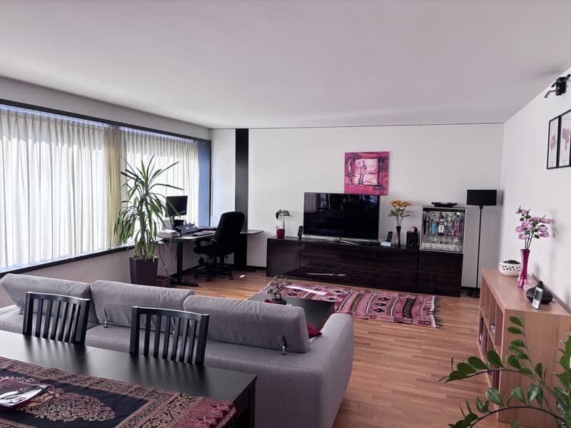 Appartement temporaire lumineux & spacieux meublé 2.5 pièces Altstetten / Albisrieden (1)