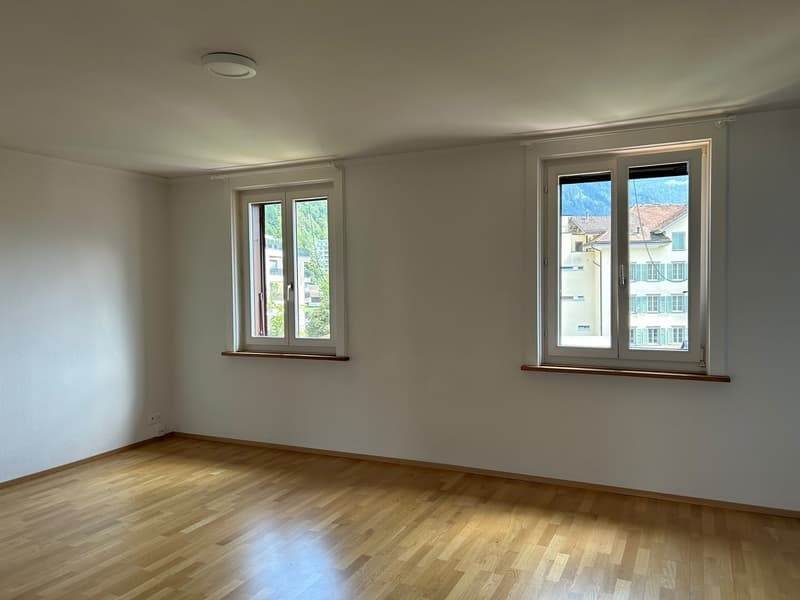 Appartamento centrale di 4 locali con giardino privato, lavatrice e attrezzature moderne con VISTA SPETTACOLARE SULLA MONTAGNA Animali domestici ammessi (7)