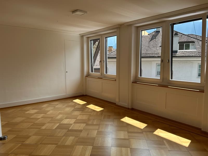 Appartamento centrale di 4 locali con giardino privato, lavatrice e attrezzature moderne con VISTA SPETTACOLARE SULLA MONTAGNA Animali domestici ammessi (6)
