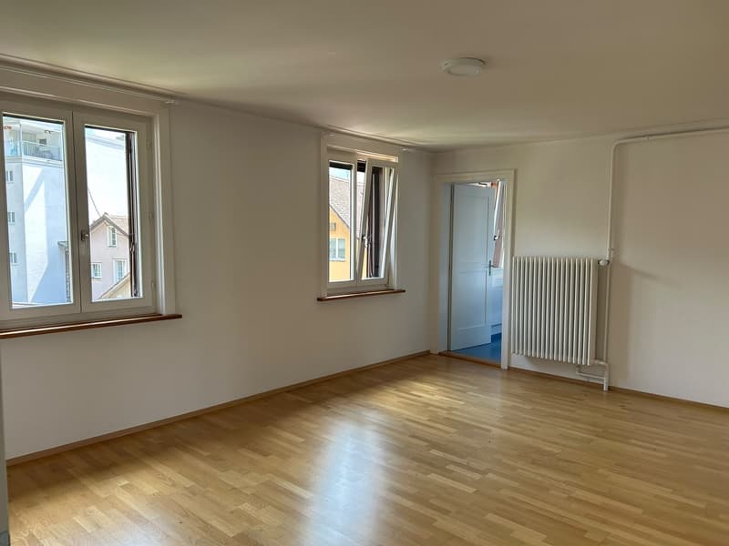 Appartamento centrale di 4 locali con giardino privato, lavatrice e attrezzature moderne con VISTA SPETTACOLARE SULLA MONTAGNA Animali domestici ammessi (4)