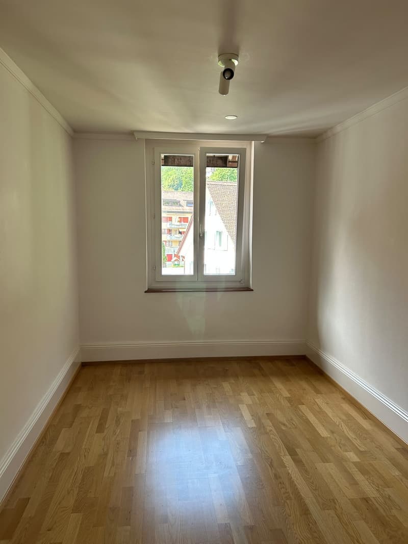 Appartamento centrale di 4 locali con giardino privato, lavatrice e attrezzature moderne con VISTA SPETTACOLARE SULLA MONTAGNA Animali domestici ammessi (11)