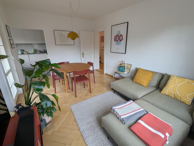 Helle 3.5-Zimmer-Wohnung in Zürich Enge / 3.5 room bright apartment in Zurich Enge (1)