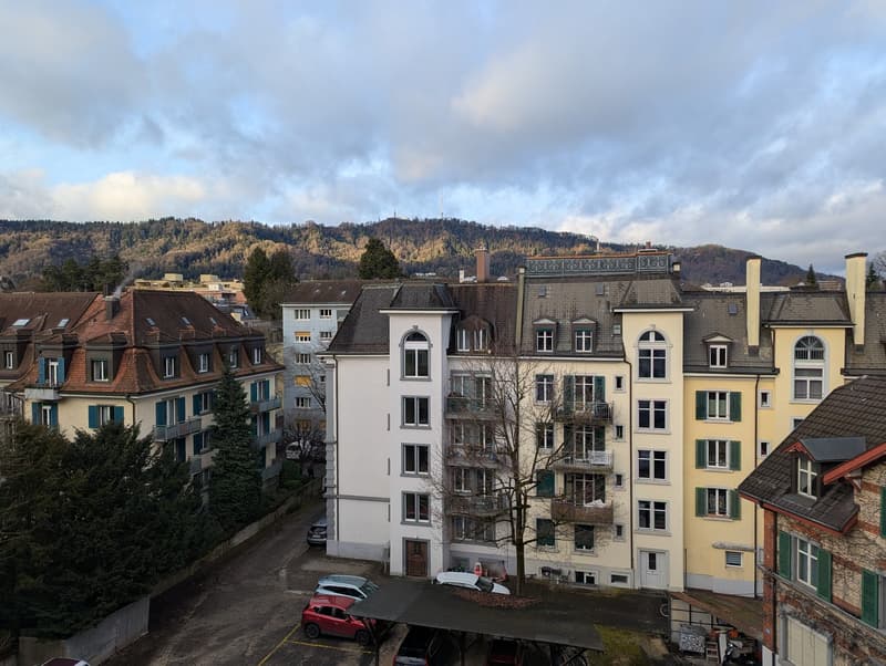 Helle 3.5-Zimmer-Wohnung in Zürich Enge / 3.5 room bright apartment in Zurich Enge (12)