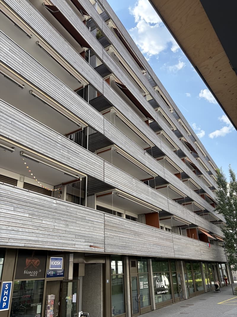 Moderne Wohnung im Greencity-Quartier bis 31. Januar 2027 (4)