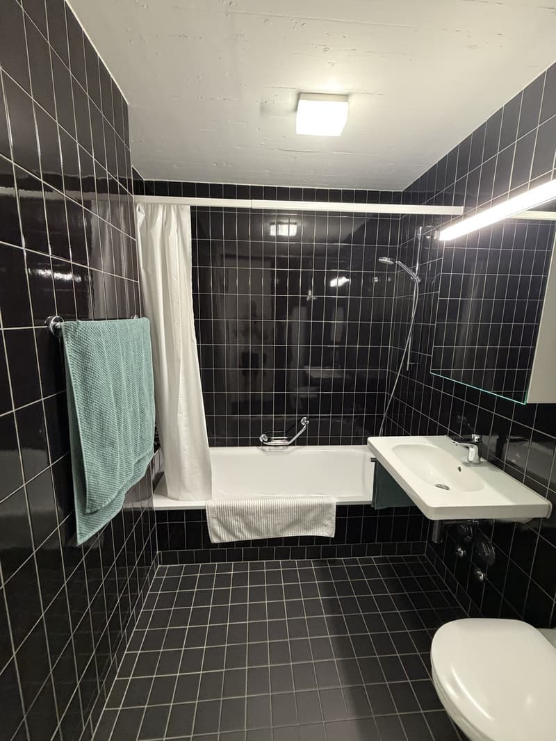 Moderne Wohnung im Greencity-Quartier bis 31. Januar 2027 (6)