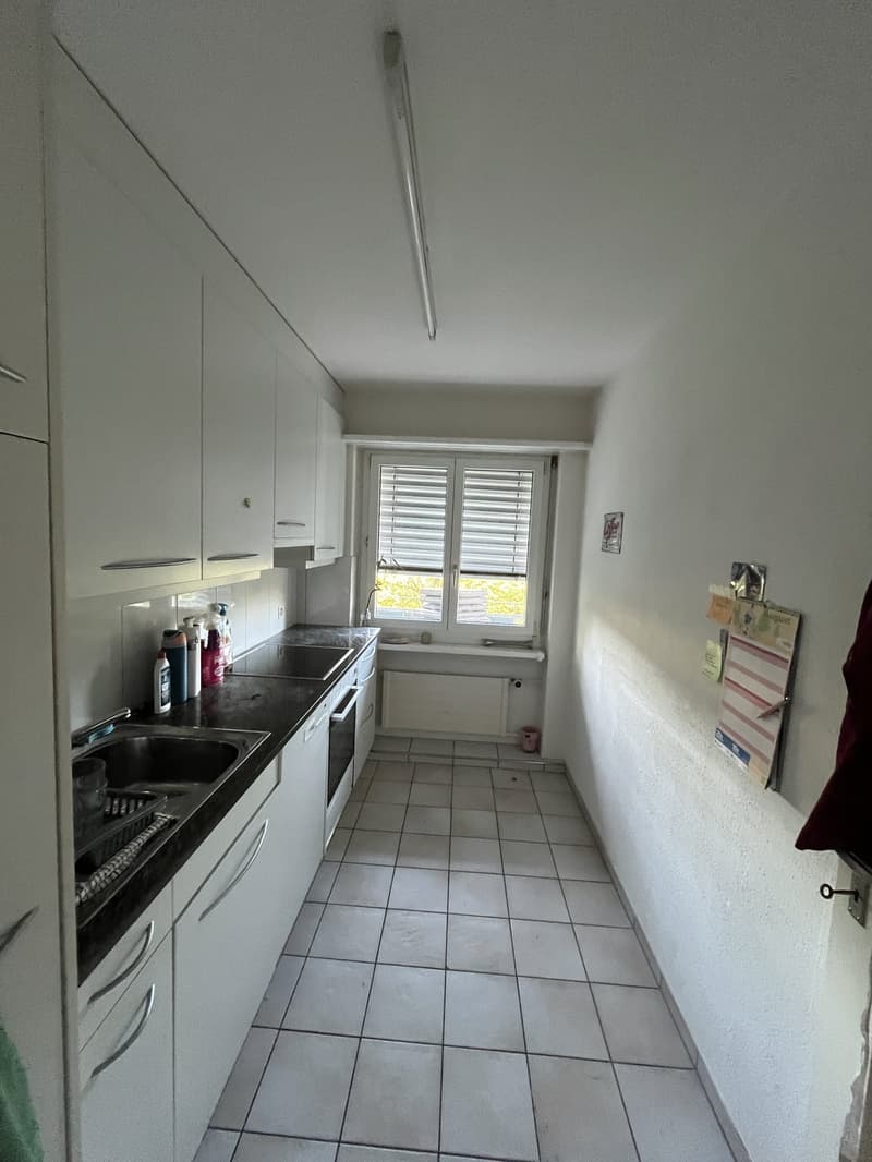 Recherche locataire : Appartement 2 pièces lumineux avec grand balcon à Effretikon (9)