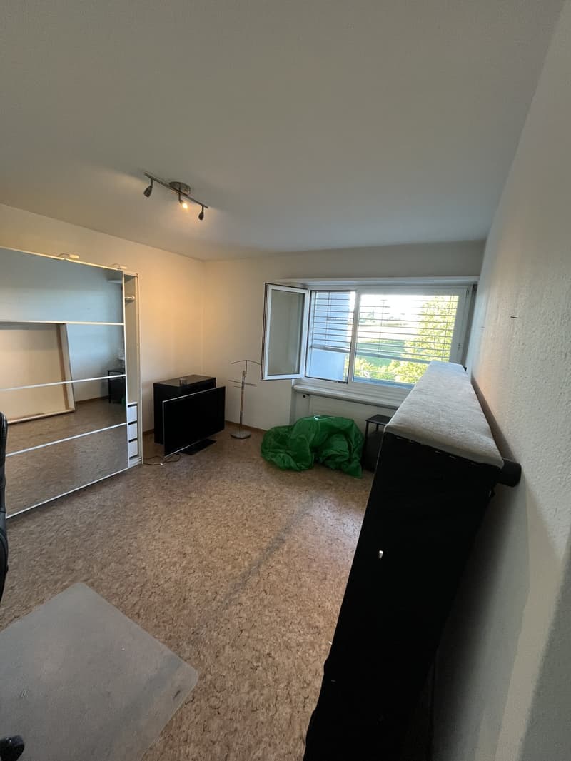 Recherche locataire : Appartement 2 pièces lumineux avec grand balcon à Effretikon (3)