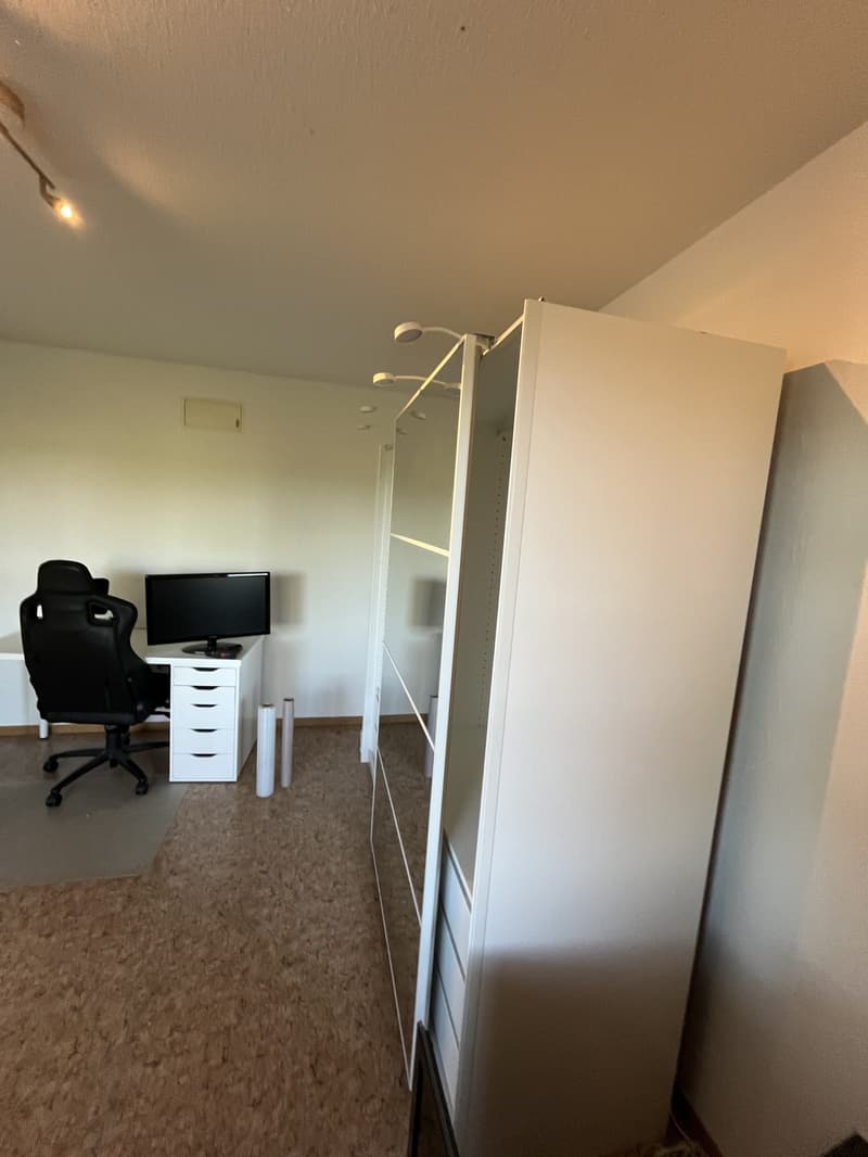 Recherche locataire : Appartement 2 pièces lumineux avec grand balcon à Effretikon (7)