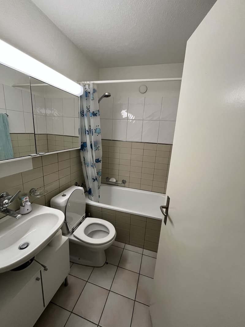 Recherche locataire : Appartement 2 pièces lumineux avec grand balcon à Effretikon (5)