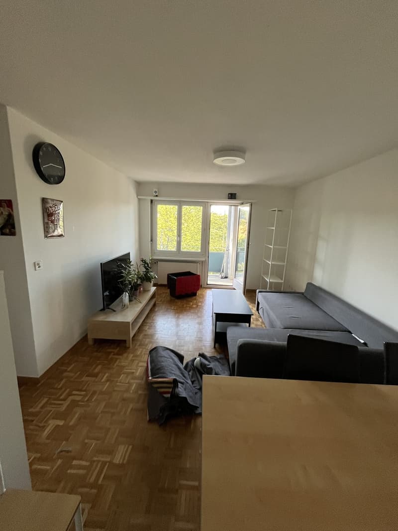 Recherche locataire : Appartement 2 pièces lumineux avec grand balcon à Effretikon (10)